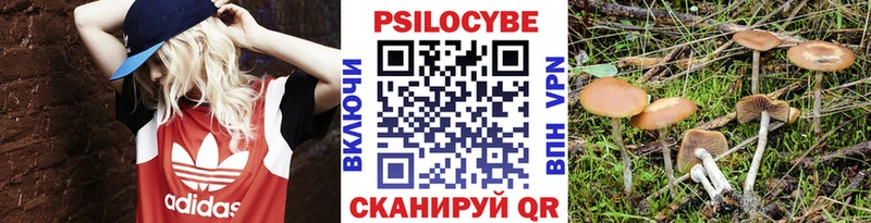 купить  цена  Медынь  даркнет наркотические препараты  Галлюциногенные грибы мицелий 